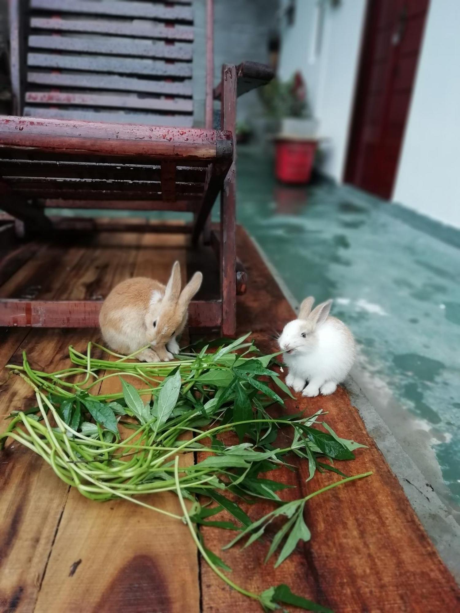 Ella C&D Paradise酒店 外观 照片