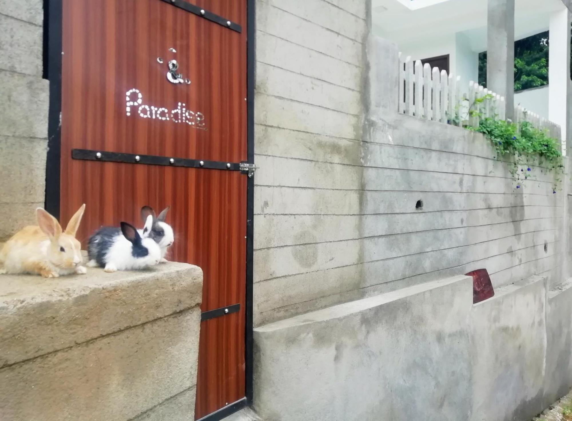 Ella C&D Paradise酒店 外观 照片