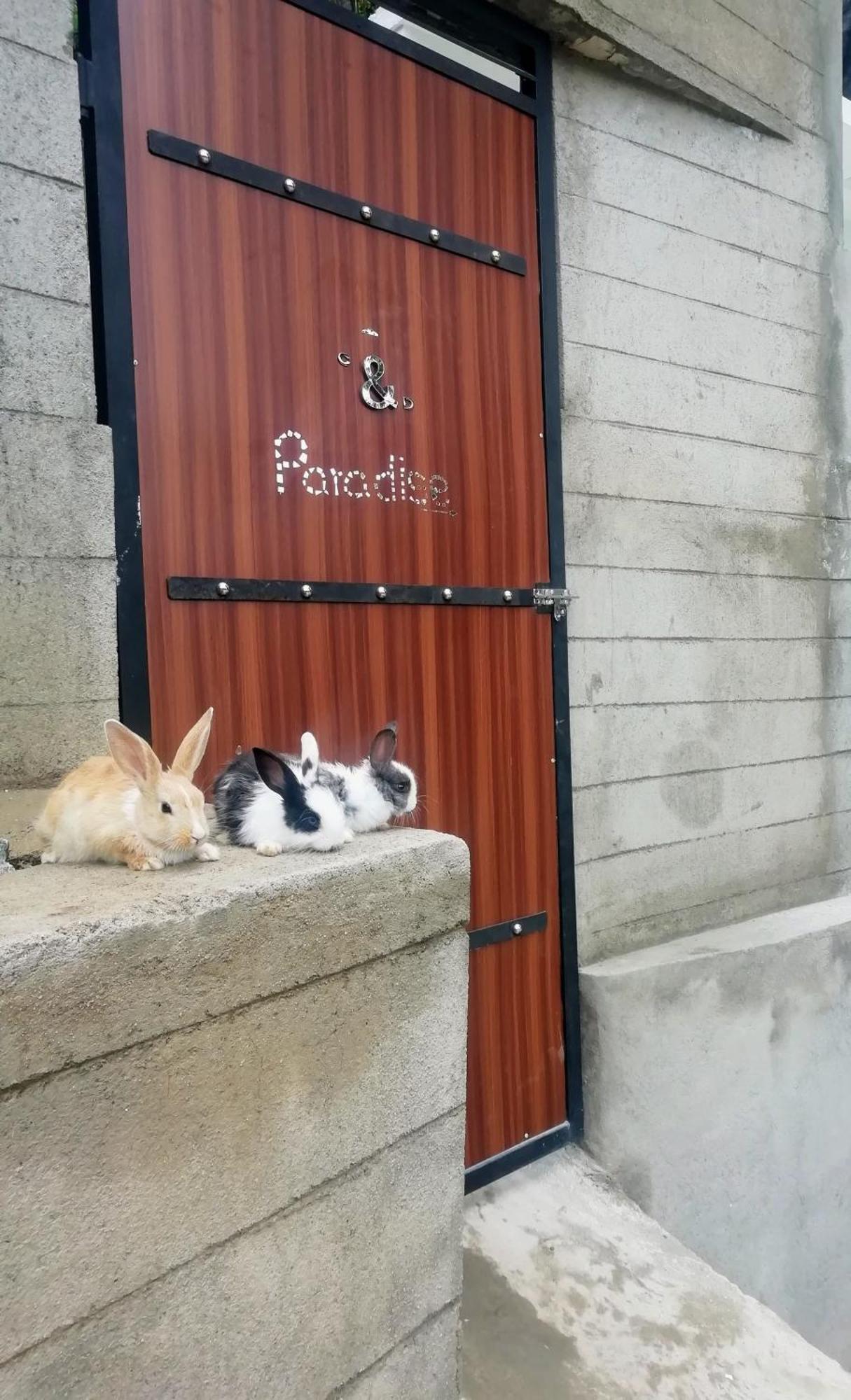 Ella C&D Paradise酒店 外观 照片