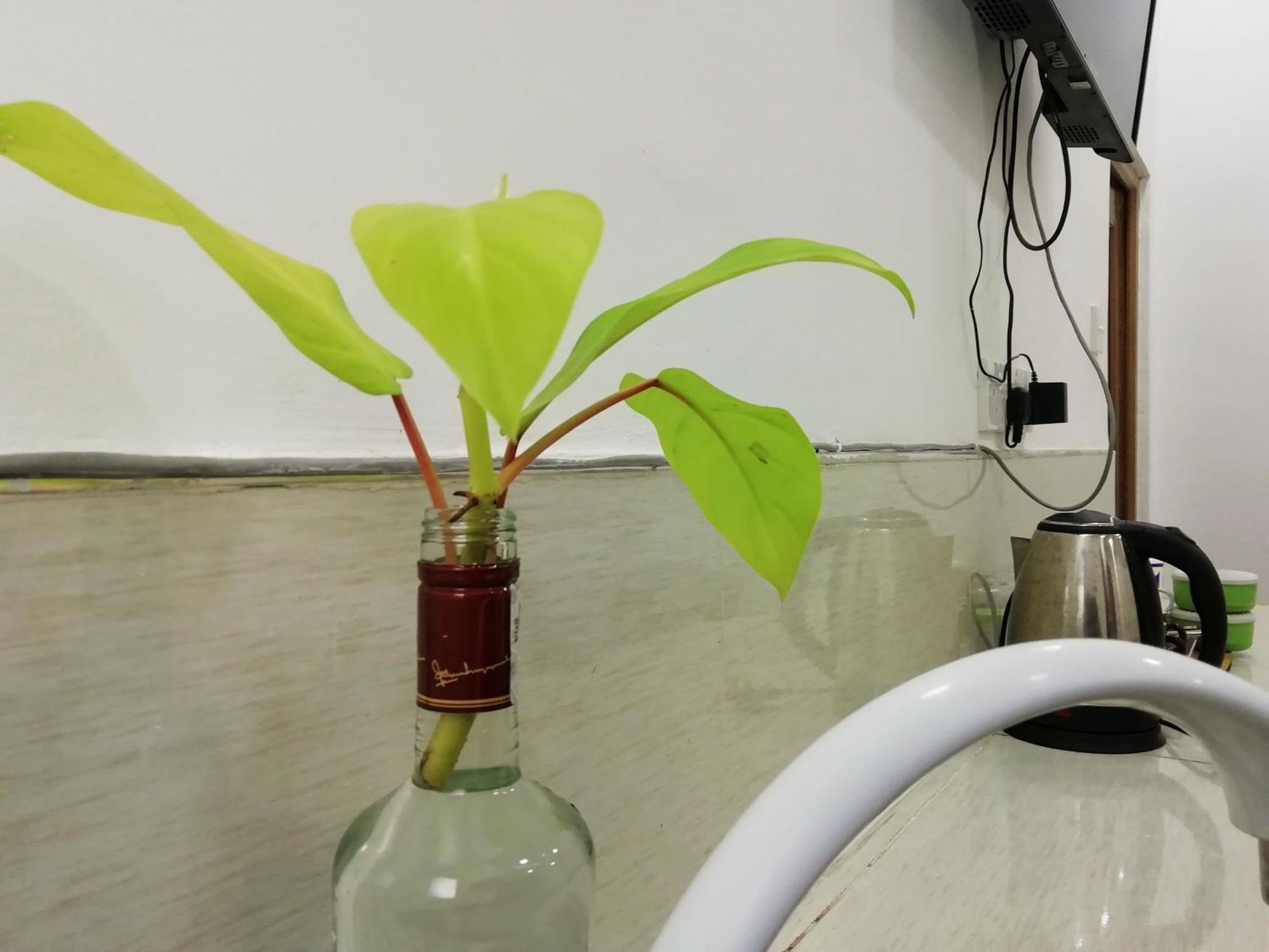 Ella C&D Paradise酒店 外观 照片