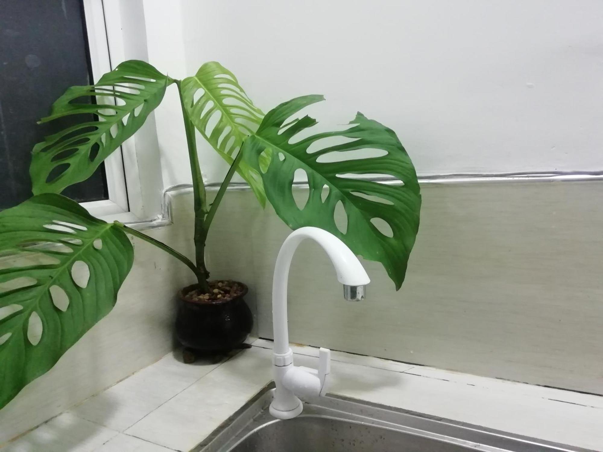 Ella C&D Paradise酒店 外观 照片